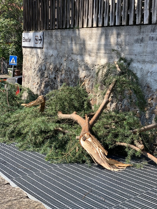 Technische Hilfeleistung Technische Hilfeleistung